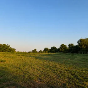 In Ismayilli nan acre land is for sale - Image 6