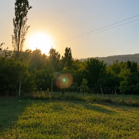 In Ismayilli nan acre land is for sale - Image 7