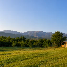 In Ismayilli nan acre land is for sale - Image 8