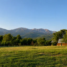 In Ismayilli nan acre land is for sale - Image 9