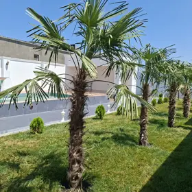 In nan 165.0 m² house with 4.0 rooms is for sale - Image 6