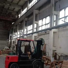 In Baku 1000.0 m² commercial is for rent - Image 7