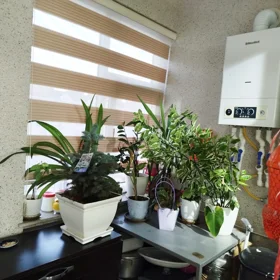 In Baku 115.0 m² apartment is for rent - Image 8