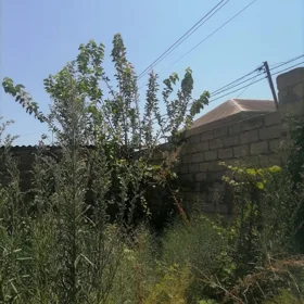 In Xəzər rayonu nan acre land is for sale - Image 2