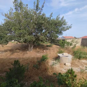 In Sabunçu rayonu 162.0 m² house with 3.0 rooms is for sale - Image 3