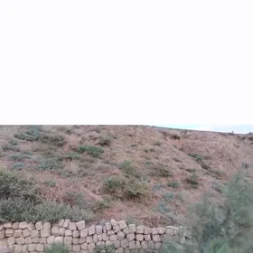 In Baku nan acre land is for sale - Image 6