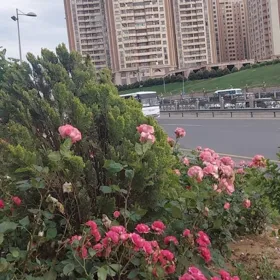 In Baku 137.0 m² apartment is for sale - Image 6