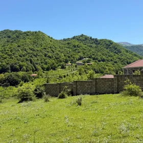 In Guba nan acre land is for sale - Image 2