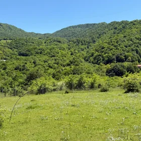 In Guba nan acre land is for sale - Image 4