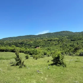 In Guba nan acre land is for sale - Image 5