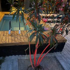 In nan 60.0 m² house with 2.0 rooms is for rent - Image 7