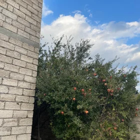 In Pirallahı rayonu 220.0 m² house with 6.0 rooms is for sale - Image 2