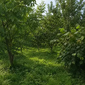 In Gabala 15.0 m² house with 4.0 rooms is for sale - Image 8