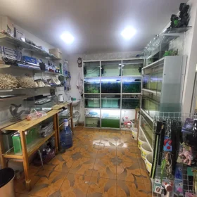 In Baku 65.0 m² commercial is for rent - Image 7