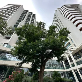 In Baku 259.0 m² apartment is for sale - Image 4