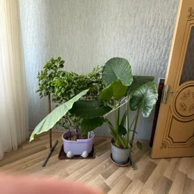 In nan 106.0 m² apartment is for sale - Image 6