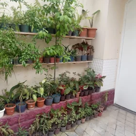 In Baku 420.0 m² house with 6.0 rooms is for sale - Image 2