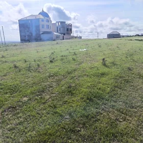 In nan nan acre land is for sale - Image 2