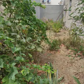 In Xəzər rayonu nan acre land is for sale - Image 6