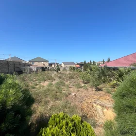 In nan 700.0 m² house with 3.0 rooms is for sale - Image 8
