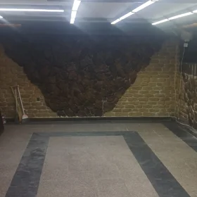 In Baku 80.0 m² commercial is for rent - Image 8
