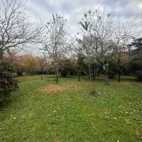 In nan nan acre land is for sale - Image 3