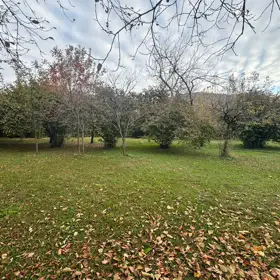 In nan nan acre land is for sale - Image 5