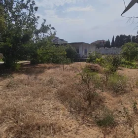 In Sabunçu rayonu nan acre land is for sale - Image 3