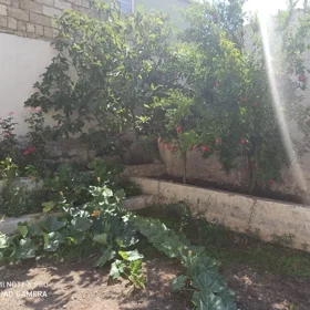 In Baku 400.0 m² house with 8.0 rooms is for sale - Image 7