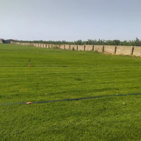 In Baku nan acre land is for sale - Image 3