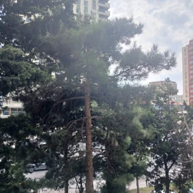 In Baku 81.0 m² apartment is for sale - Image 10