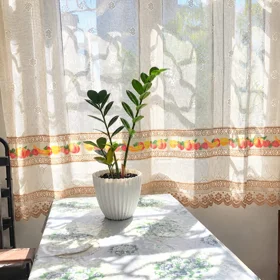 In Baku 50.0 m² apartment is for rent - Image 8