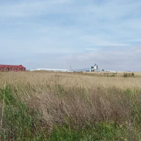 In Baku nan acre land is for sale - Image 4
