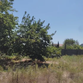 In Xəzər rayonu nan acre land is for sale - Image 2