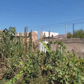 In Xəzər rayonu nan acre land is for sale - Image 3