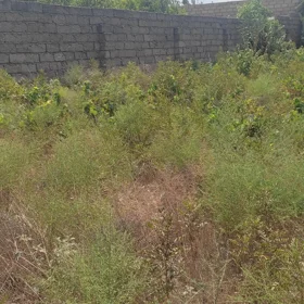 In Xəzər rayonu nan acre land is for sale - Image 4