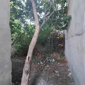 In Baku nan acre land is for sale - Image 4