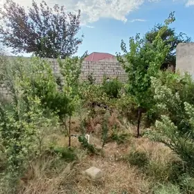 Sumgayit-da nan sot torpaq satılır - Şəkil 2