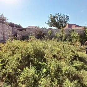 Sumgayit-da nan sot torpaq satılır - Şəkil 9