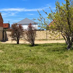 In nan nan acre land is for sale - Image 2