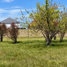 In nan nan acre land is for sale - Image 7