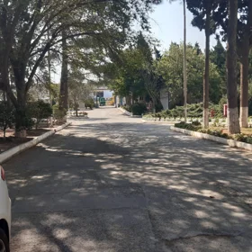 In Khirdalan 950.0 m² commercial is for rent - Image 3