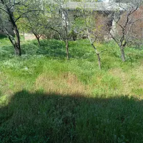In Binəqədi rayonu nan acre land is for sale - Image 5