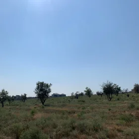 In nan nan acre land is for sale - Image 6