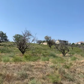In nan nan acre land is for sale - Image 7