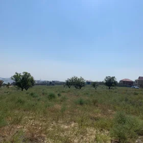 In nan nan acre land is for sale - Image 8
