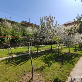 In Baku nan acre land is for sale - Image 4