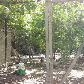 In Xəzər rayonu 50.0 m² house with 2.0 rooms is for sale - Image 7