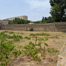 In Xəzər rayonu nan acre land is for sale - Image 6