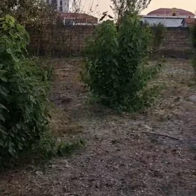 In Sheki nan acre land is for sale - Image 2